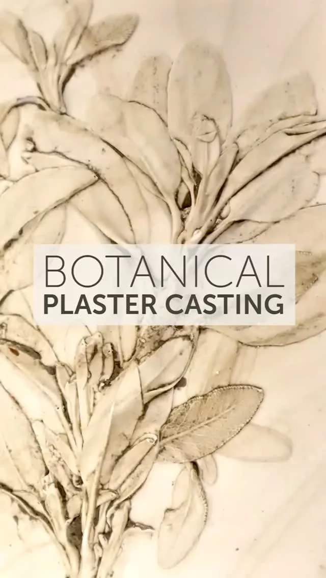 Our first available workshop coming up in January is Botanical Plaster Casting, on Saturday 24th, 2-5pm. 
Spend a relaxing afternoon capturing the delicate intricacies of flowers, seedheads and leaves, using clay and plaster. Your tutor Eloise will guide you through the steps. A lovely workshop to do with friends and family, your finished pieces are ready to take home the same day. 
For more info and booking visit theclay.studio. 
@eloisenashceramics