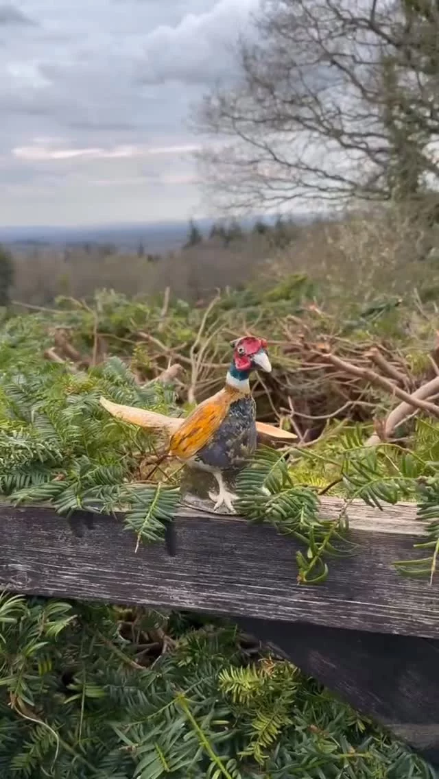 We haven’t found any eggs yet today but we have found this rather handsome chap! Wishing you a lovely Easter Sunday and long weekend. 
🌷🌱🐣🐇👒🌤️