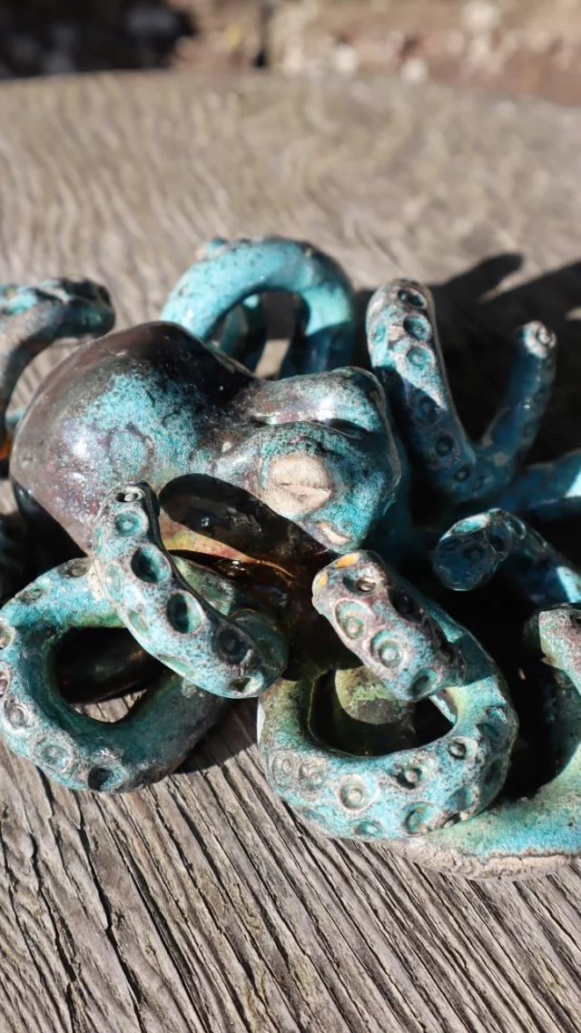 A slab of clay begins as something quiet and flat. Then through touch and patience, it can be transformed into something with its very own story and emotion. This octopus is a wonderful demonstration of that!