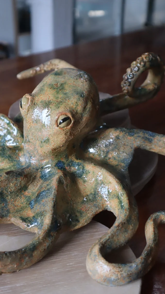 It’s all in the details 🐙 The close ups of this amazing octopus show just how much work goes into adding the tiniest off details that make all the difference, especially when it comes to creating animals.
Made by Sharon in our Thursday morning class.